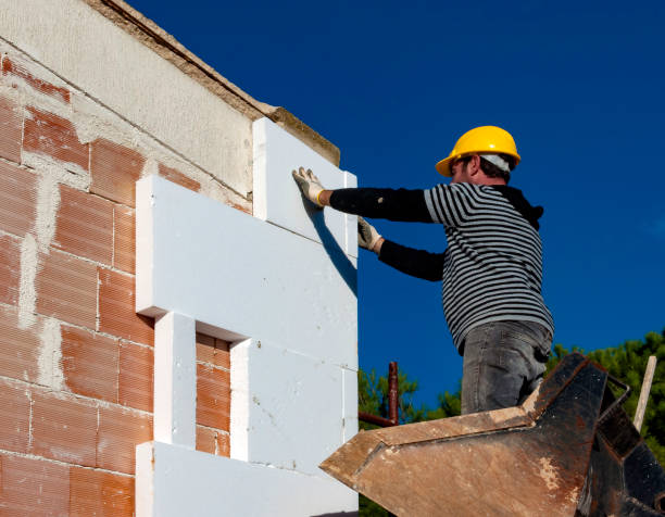 Best Insulation Maintenance and Repair in Fish Hawk, FL