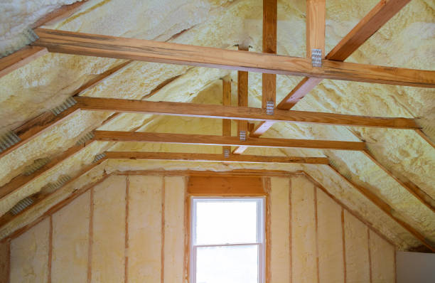  Fish Hawk, FL Insulation Contractor Pros