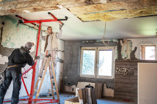 Best Specialty Insulation in Fish Hawk, FL
