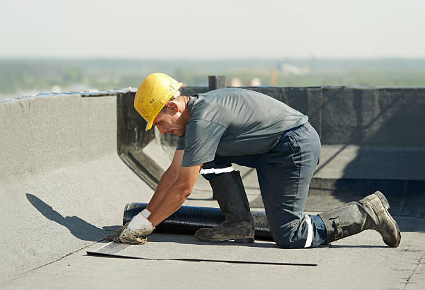 Best Insulation Installation Services in Fish Hawk, FL